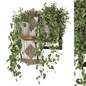 Decorative Hanging Macrame With Plants - Set 2256 - Комнатные - 3D модель - фото 2
