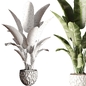 indoor plant Set 121 - Комнатные - 3D модель - фото 3