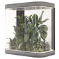 Indoor Plants Garden Behind the Glass 2677 - Комнатные - 3D модель