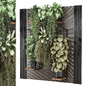 indoor hanging plants in metal shelf 1555 - Комнатные - 3D модель