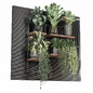 indoor hanging plants in metal shelf 1577 - Комнатные - 3D модель