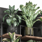 indoor hanging plants in metal shelf 1577 - Комнатные - 3D модель - фото 4