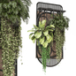 indoor hanging plants in wooden box 1641 - Комнатные - 3D модель
