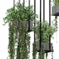 indoor hanging plants in wooden box 1773 - Комнатные - 3D модель - фото 4