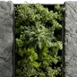 Plants set partition in stone 130 - Vertical graden wall decor box - Фитостены - 3D модель - фото 5