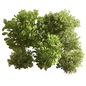 Mix Bush Set 174 - Кусты - 3D модель