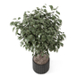 Indoor Plants Rusty Concrete Pot_Set 3804 - Комнатные - 3D модель - фото 2