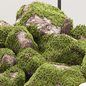 Indoor Mossy Rock Garden Vol 323 - Комнатные - 3D модель - фото 2