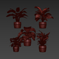 plant vol 765 - indoor - Calathea - pot - Комнатные - 3D модель - фото 6