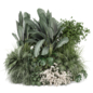 Outdoor Garden Set Bush and Tree_Garden Set 4335 - Кусты - 3D модель