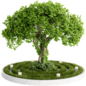 Courtyard Garden with Tree and Green Grass 467 - Уличные - 3D модель