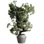 Tree Branch in a Concrete Pot - Outdoor Plants set 261 - Уличные - 3D модель
