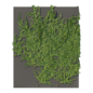 Ivy Plant - Уличные - 3D модель