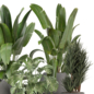 Indoor Plants Ferm Living Bau Pot Large_Set 4630 - Комнатные - 3D модель - фото 5