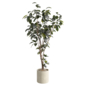 MI Bonsai Ficus Plant Collection Set 481 - Комнатные - 3D модель - фото 2
