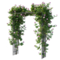 Climbing Rose 04 - Уличные - 3D модель