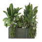 Outdoor Plants in Glazed Green tile Pot_Set 4756 - Комнатные - 3D модель