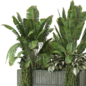 Outdoor Plants in Glazed Green tile Pot_Set 4756 - Комнатные - 3D модель - фото 5