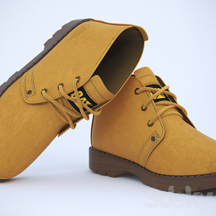 Caterpillar Footwear 3D model