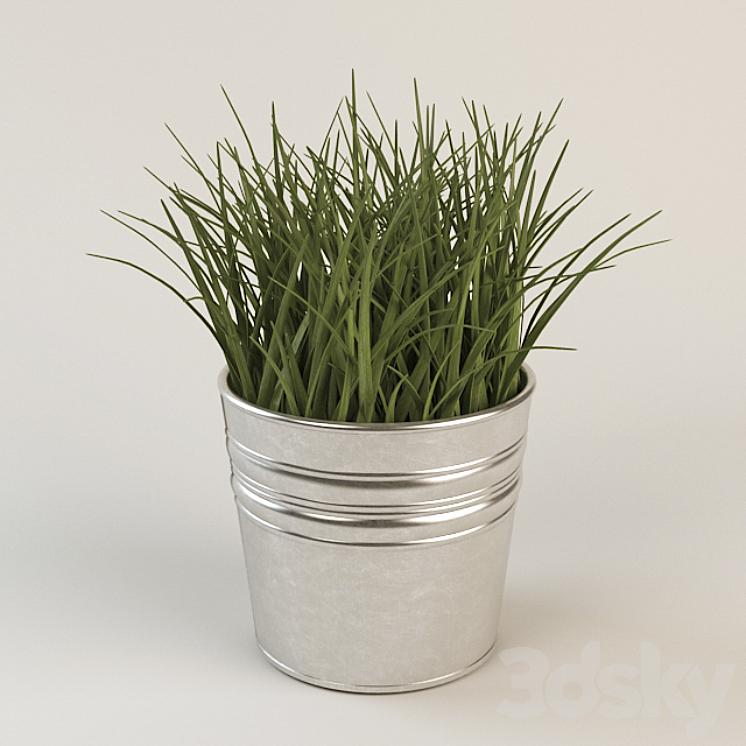 Artificial Potted Plant Wheat Grass Indoor 3D model