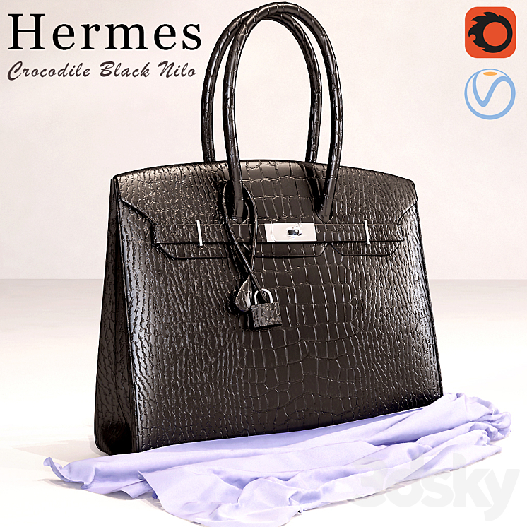 Bag Hermes Black Crocodile Birkin Bag Other decorative objects