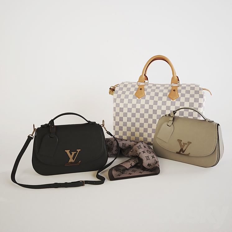 Louis Vuitton Bags set 3D model