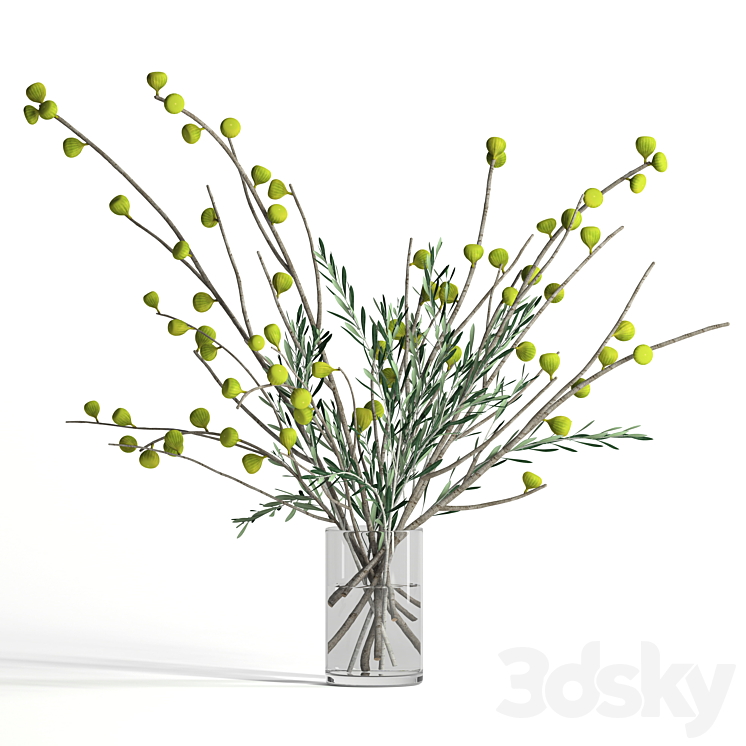 Fig and olive branches Bouquet 3D model