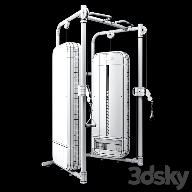 Technogym dual sales pulley