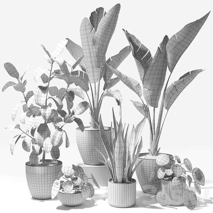 Set of plants 09 - Indoor - 3D model