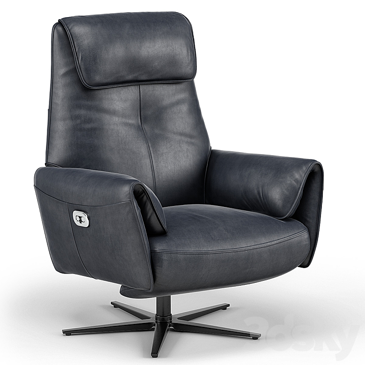 Modani Faenza Motion Lounge Chair Arm chair 3D model