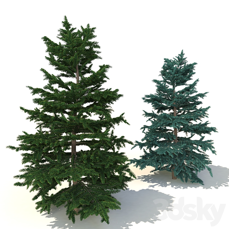spruce v3 - Tree - 3D model