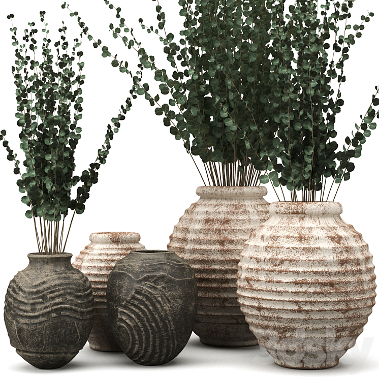 Clay Vases with Eucalyptus Bouquet 3D model