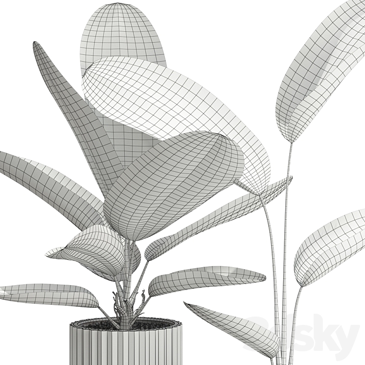Plants Collection 594 Indoor 3D Model plants-collection-594-indoor-3d-model