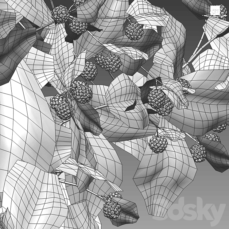 Rubus fruticosus Blackberry Bush 3D model