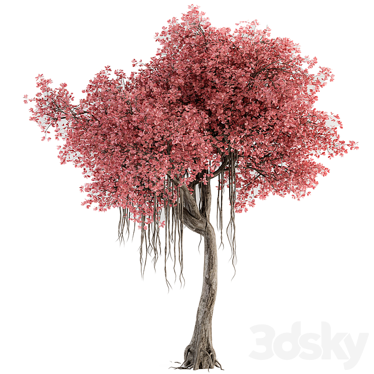 Japanese Pink Tree - Set 78 - Tree - 3D model