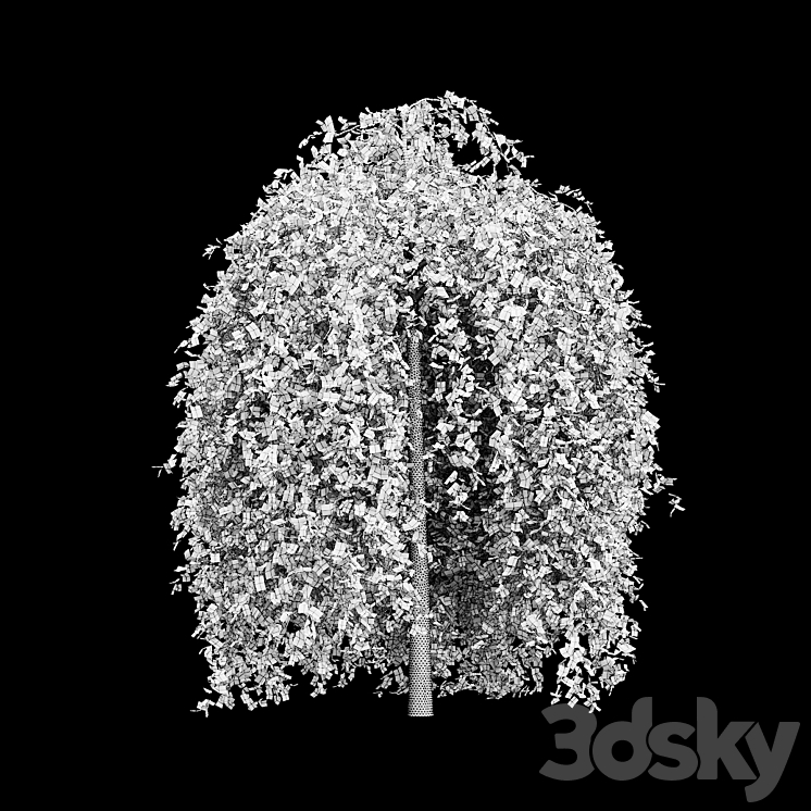 Rừng phong sồi là một trong những quần thể thực vật quan trọng nhất trên trái đất. Hình ảnh sẽ cho bạn một cái nhìn tổng thể về rừng phong sồi, với đầy đủ các loài cây sống trong rừng thông qua mô hình 3D và chất lượng hình ảnh tuyệt vời.