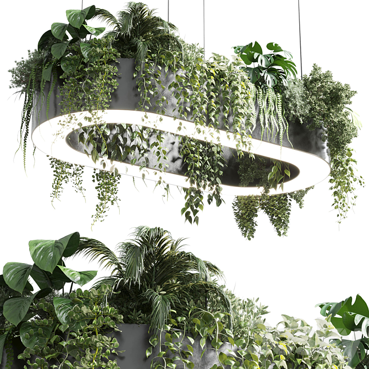 Hanging plant outlet light pendant