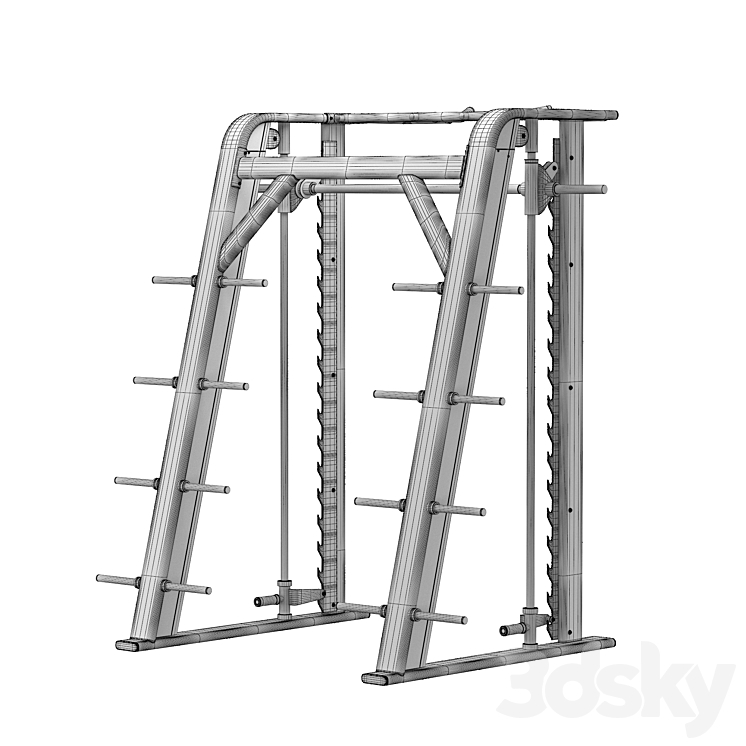 Dhz clearance smith machine