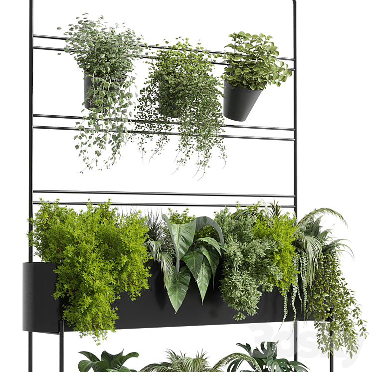 Indoor plant 328 Auckland Black Metal Flower stand Box plant ivy fern pots Indoor 3D model