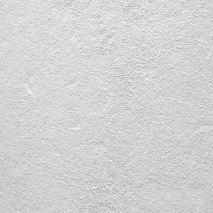 Decorative plaster Wall covering 3D model