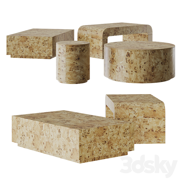WEST ELM Coffee Table Set Burl Wood Table 3D model