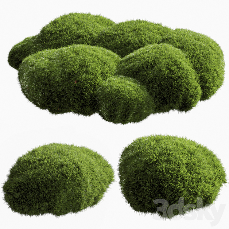 bush outdoor grass 051 - Bush - 3D model