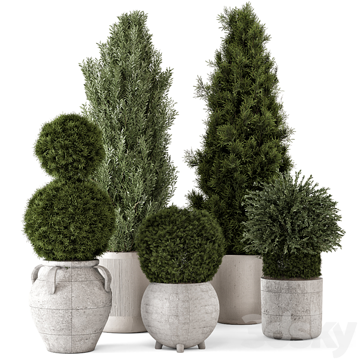 Outdoor Plants Pine Bush and Tree -Bush Set 2288 - Outdoor - 3D model