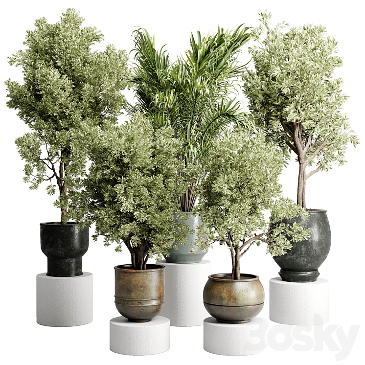 Tree in a Dirty old metal pot outdoor plant 221 Outdoor 3D model