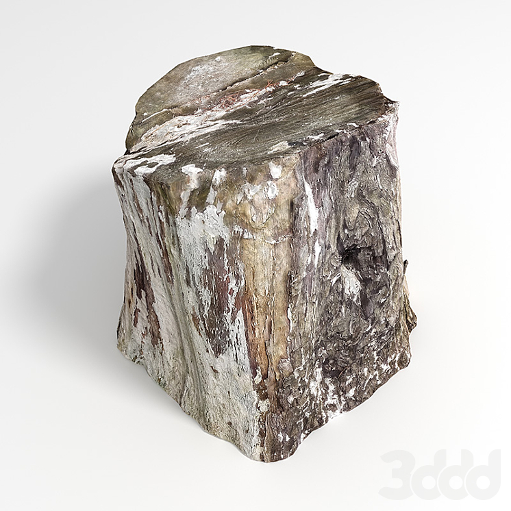 Пень - Детали окружающей среды - 3D модель