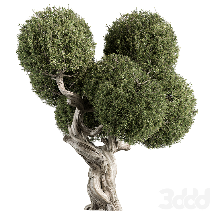 Импорт готовых деревьев в 3D max.