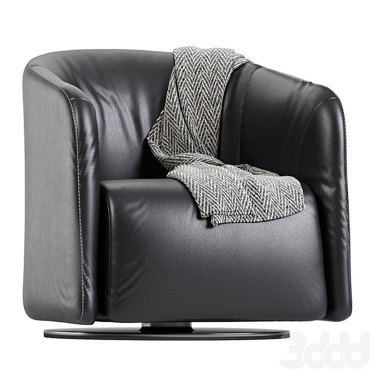 Logos Armchair leather By Natuzzi 3D