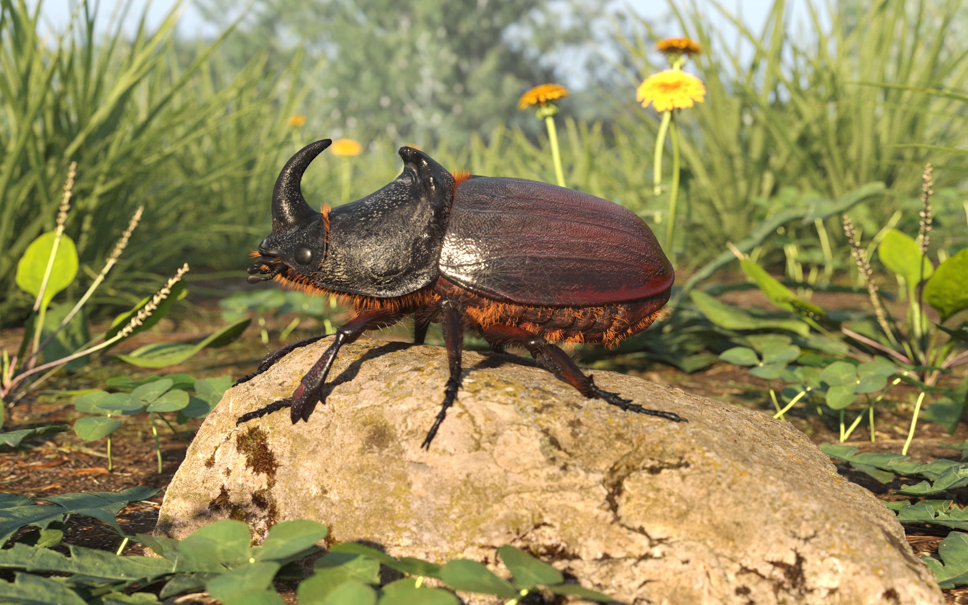 Rhinoceros beetle - Работа из галереи 3D Моделей